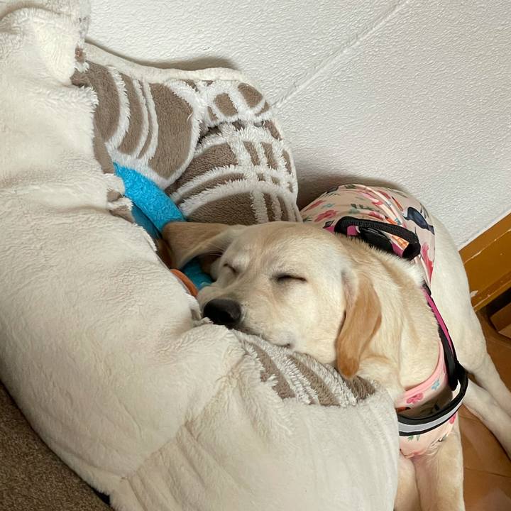 6726bf31 4882 475a 98f8 7852931cfc0c 1622610779444