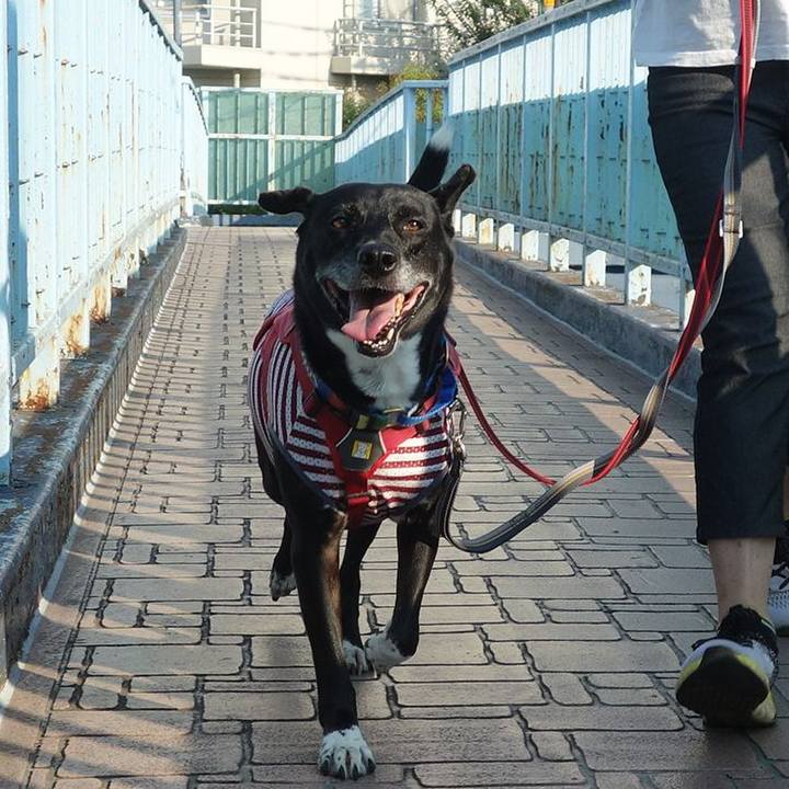 6726df46 f4de 43b5 b078 ca5d9a265079 1690503885997