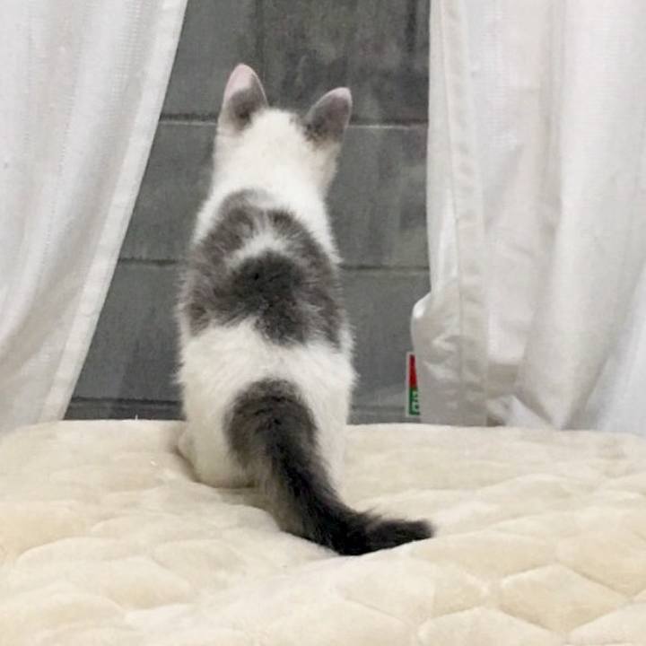 6726fc67 fe88 45a3 ba98 39cfe983c443 1511447625494