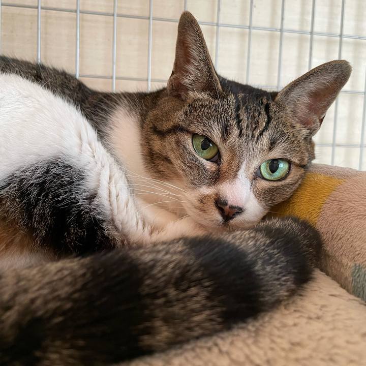 6727029d 27cb 4f65 822a 0cd11c5e212d 1633657192313