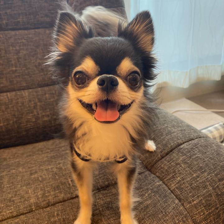 672707c3 5ebb 4a8f 9596 e0dfee982ca0 1717862493451