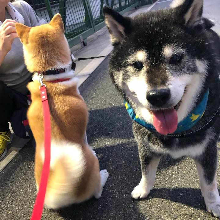 67272603 0584 471c b16c f66232d93c2f 1692400177151