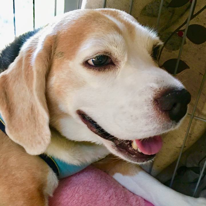 672729e1 7057 4c8d 937a eccb48a6a82c 1564201365928