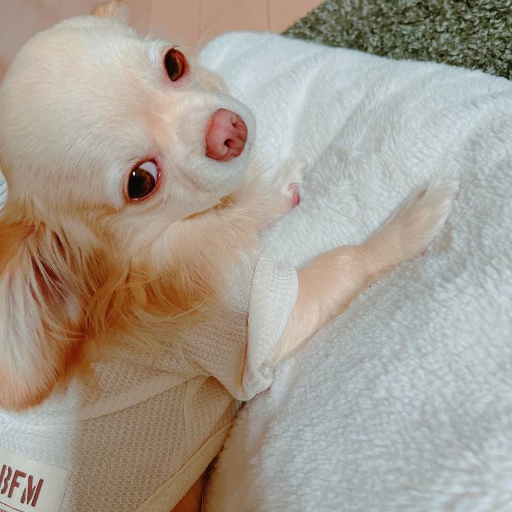 67273ba3 95f1 4197 93f3 b84f6faa4551 1652306945952