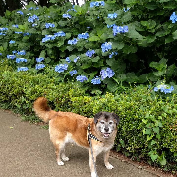 67274ec9 fc79 4944 98d2 fc700f3a3c7e 1529280630007