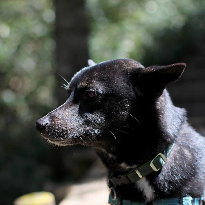 67276772 3a7a 4ba3 bad0 af56decb9e0c 1525947432266