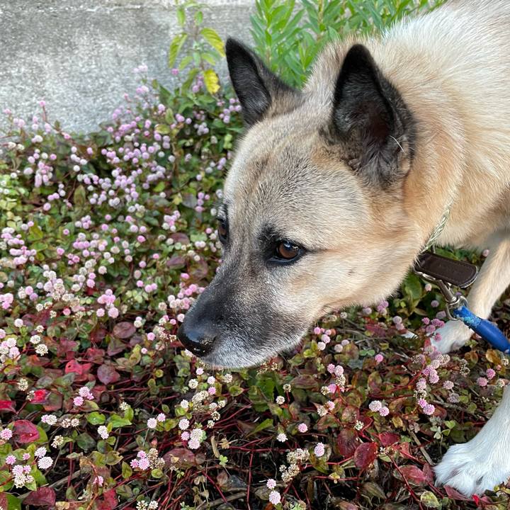 672784b8 4fe2 4942 b083 96101f8297f9 1637150693786