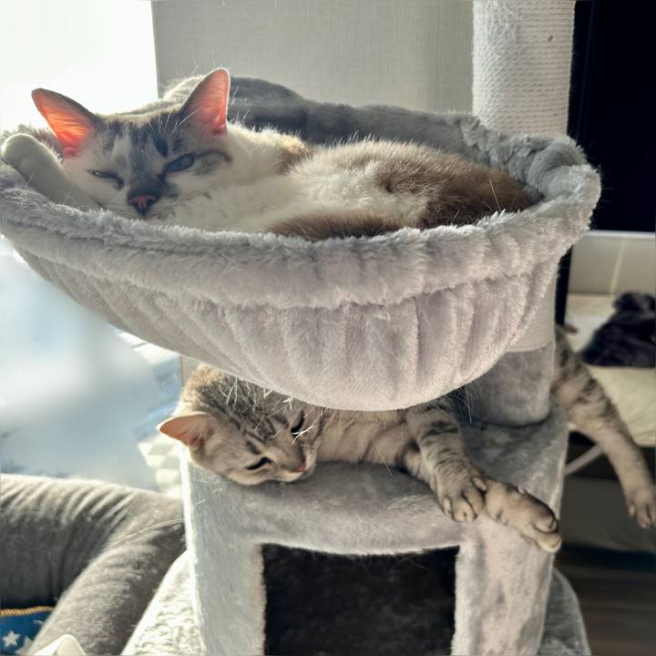 6727a3f7 007a 477d 988f a65149108255 1714035893078