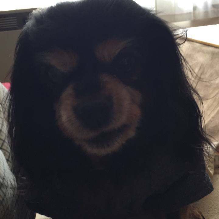 6727ac56 7caa 47a0 92ec 27bcdfdf8519 1553433248466