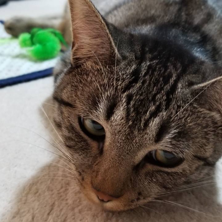 6727b848 31ab 4cdc 805d 82a7f479a3d4 1686667206948