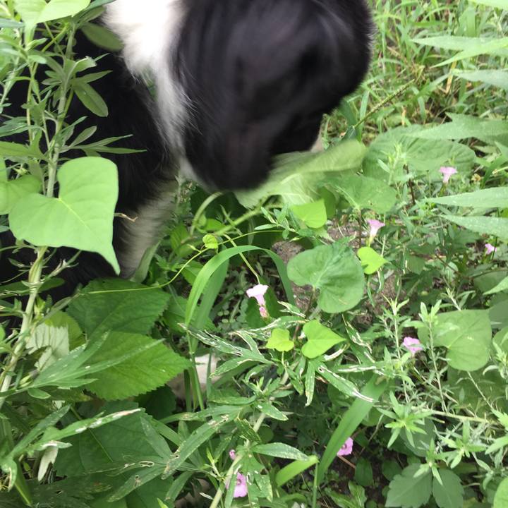 6727ceca 42ab 498d 848f 1e34ddf7bf17 1567818196541