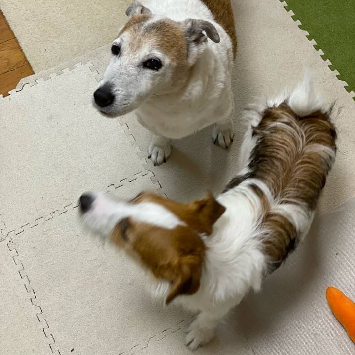 6727fd90 0e49 4b0a bec4 92b34108c2fd 1635634138588