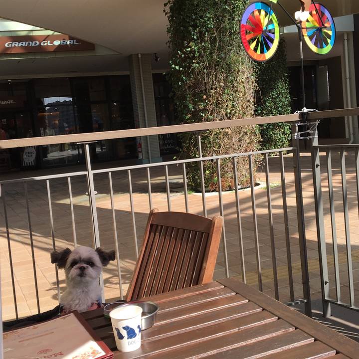 672802ff 9eab 44a4 8780 64fb46261e8d 1522474700290