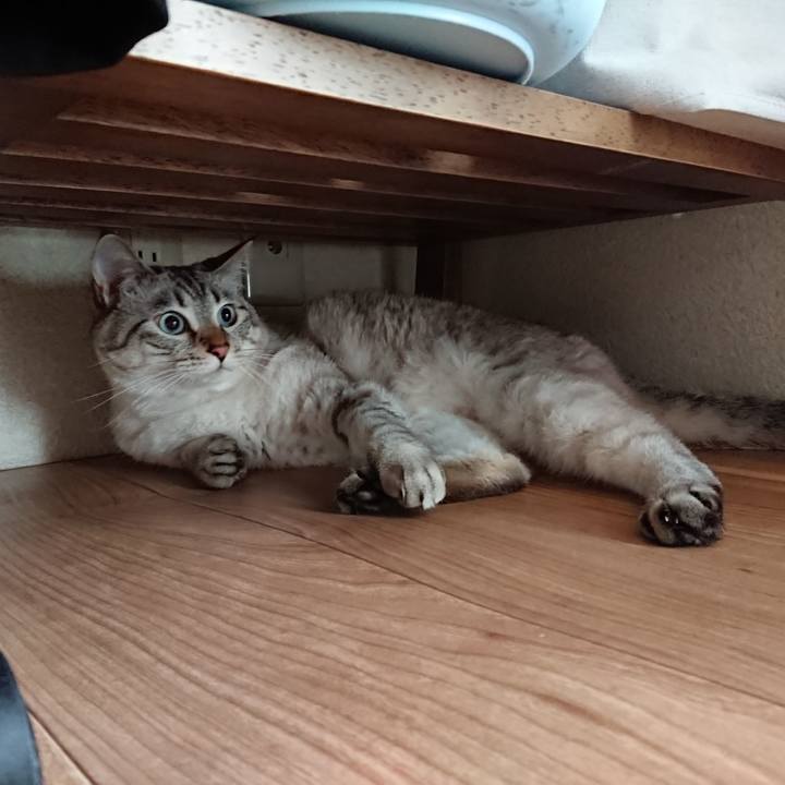 6728185d 1267 46ed a833 18fa54ec6b15 1565753033688