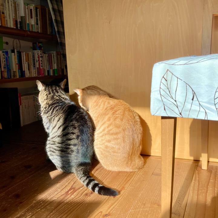 67285553 2180 4d51 a95b b6d5fe4669ca 1712790326738