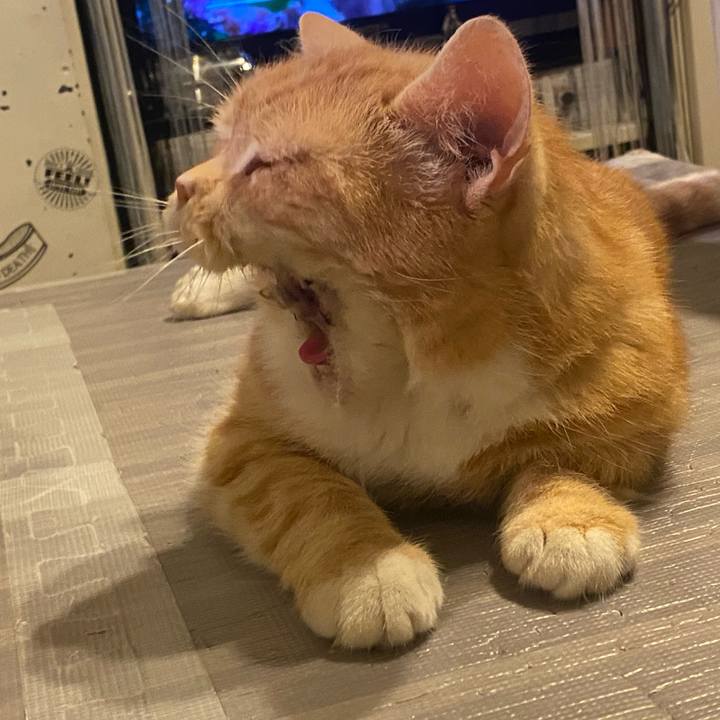 6728696a 6cb5 49be 9e5b a3c28469f6b6 1624624638028