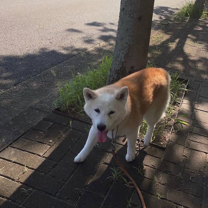 6728a0be 75f8 4607 83dd 119765ac5b26 1690203731174