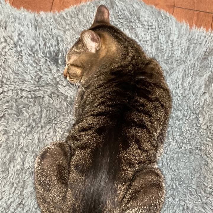 6728b393 fd9f 48e8 88a1 f72c99bd8fb0 1770508705683