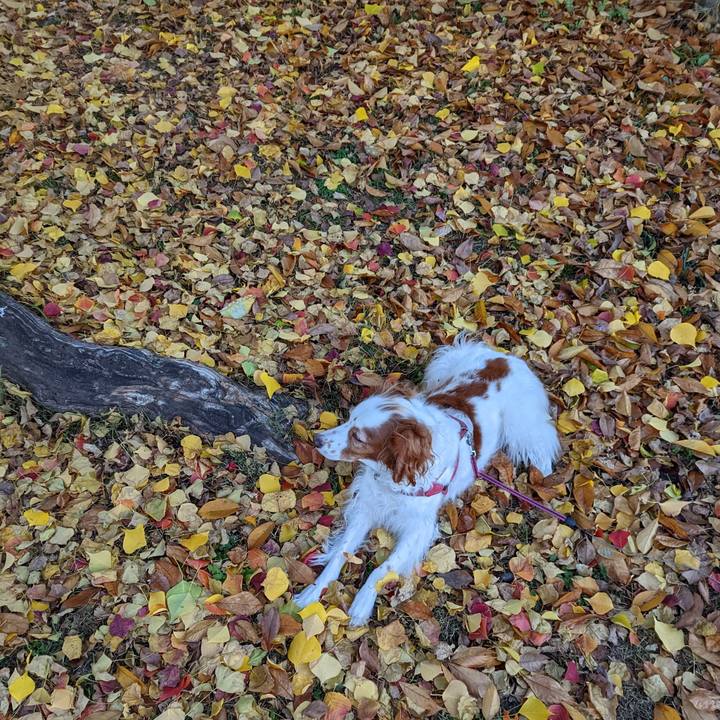 6728b49a b04d 43c0 ab3c c39c4450e8c2 1669970237940