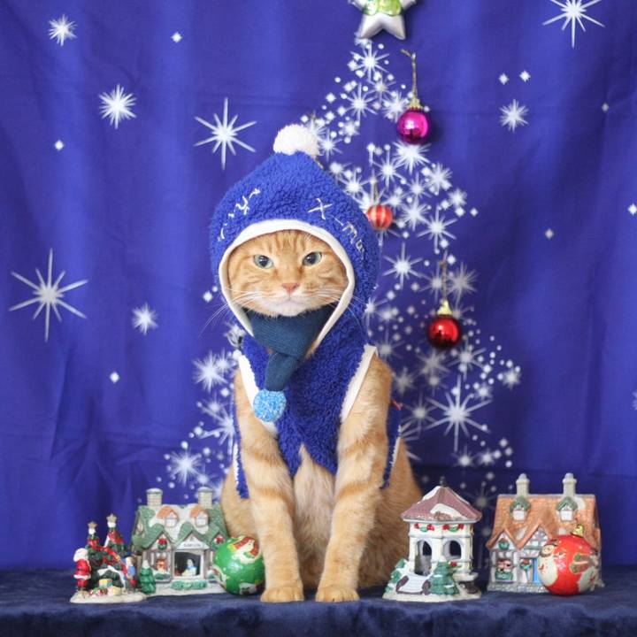 67290cb2 c3ee 4252 8a1f 849709090193 1639962672718