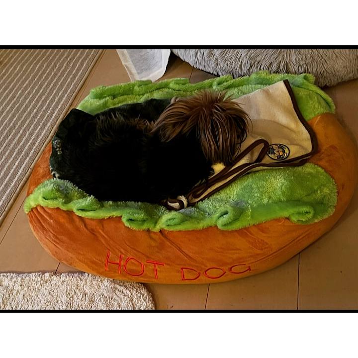 67291861 185c 48b5 840f 9b15e047f7a3 1676112162202