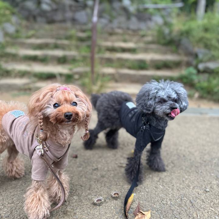 672920d0 d587 4fd4 9097 0a2b4a48524a 1759964711678