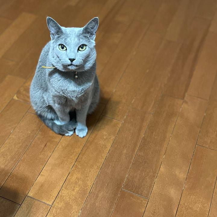 6729249b cd50 4571 963b d741ff1b51f9 1734960181237