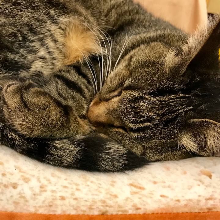 672936aa a0a6 46e6 a2ca a7fa4c5493f7 1520343335981