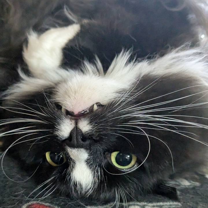 67296c77 5327 4e74 a1fd 800ab384c388 1772749386133