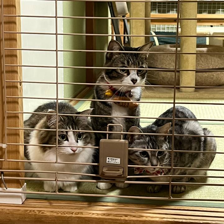 6729b515 82a8 473e 8906 4cd263fd9443 1763886421834