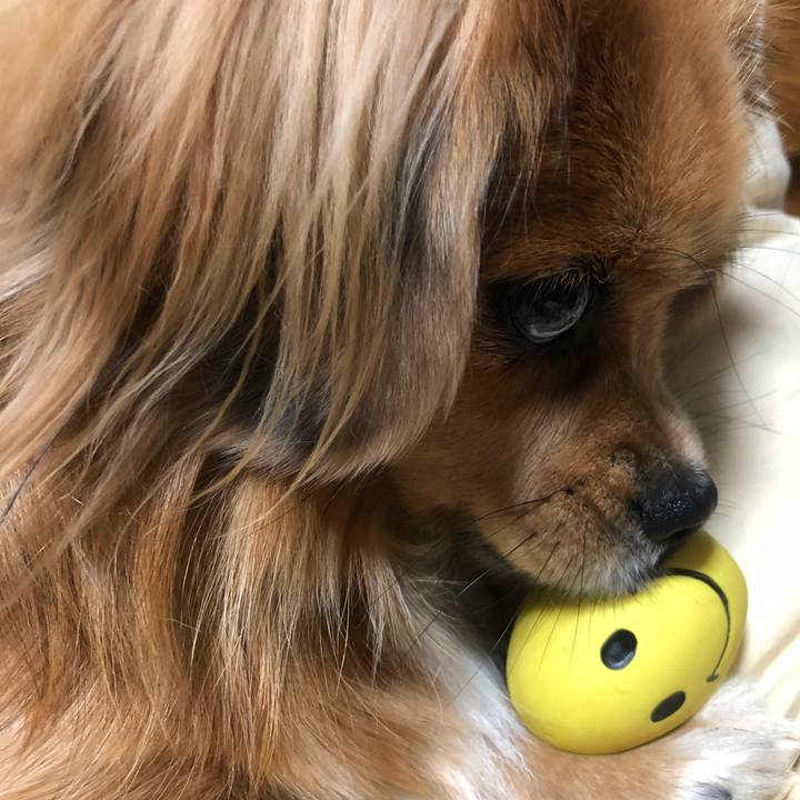 6729c496 2122 417b 8410 fa99fcc042cd 1539386217283