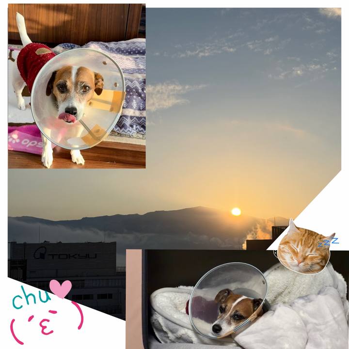 672a16b0 9ef2 44a2 b152 30374ea695a2 1765838680192