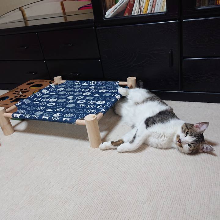 672a1d2f 80e0 4952 b486 750b0e67d2f1 1592912224868