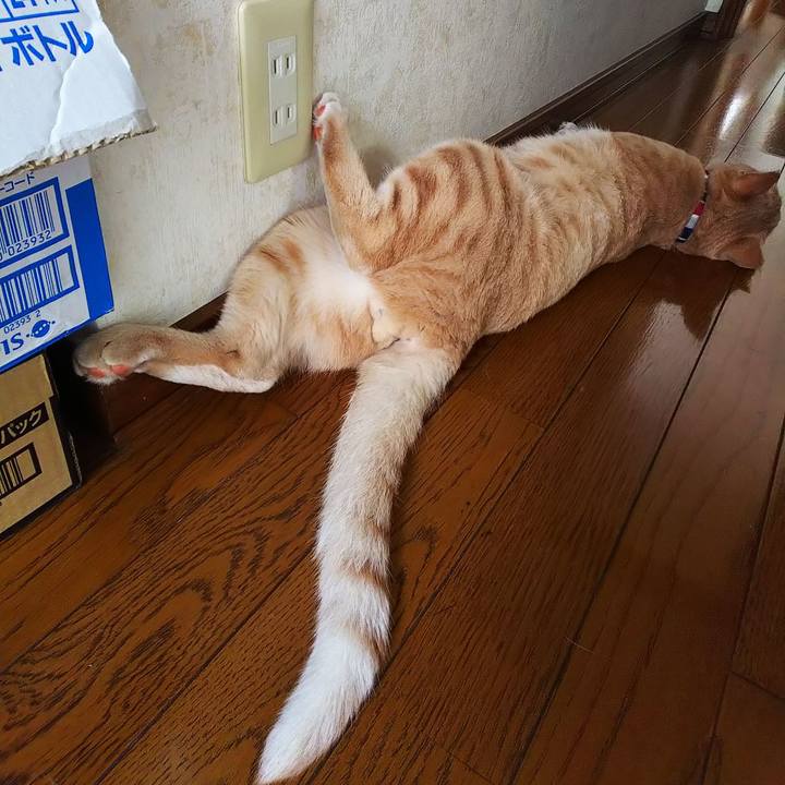 672a2ce0 e8cf 4ff2 8c48 411ded2bc1e1 1564526140296