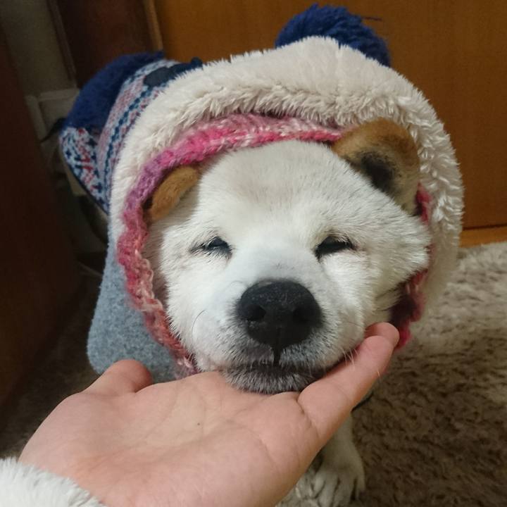 672a6202 50c2 436e b3ca a2898b9a9895 1582073760550