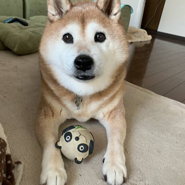 672a7327 1a18 48d7 9f8d 9f141cb8f832 1587868899090