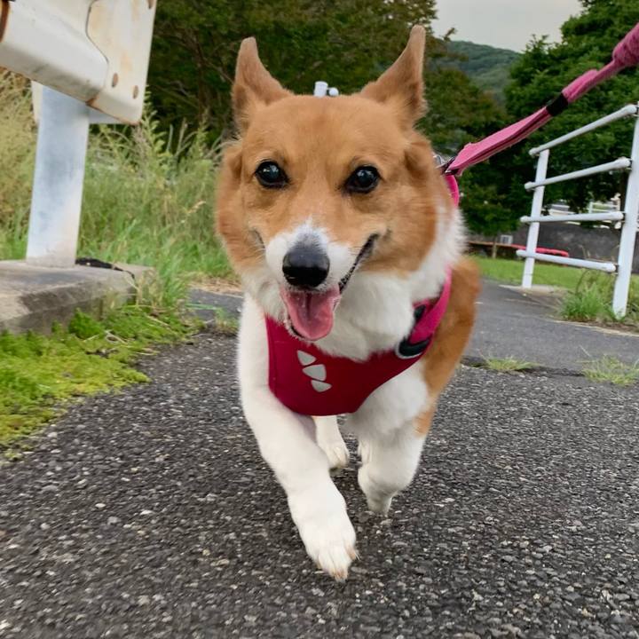 672a73c5 0da5 4934 ac38 a594b97b4a87 1685442784898