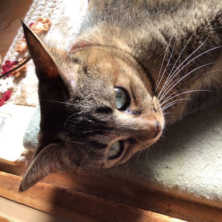 672a8448 bf3b 4b82 880e bd7f6d1bea11 1607308887229