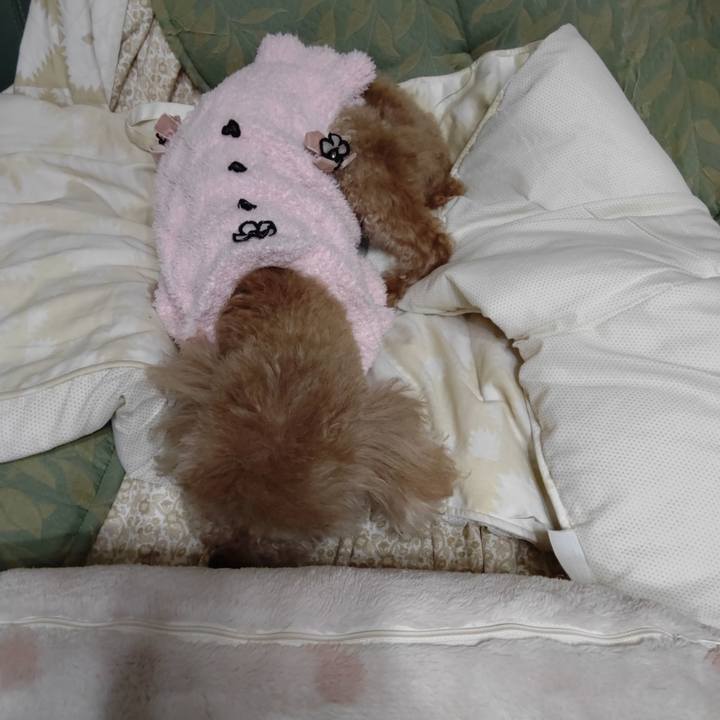 672a878a 8205 41cb 86eb b885b74c1498 1671970351726