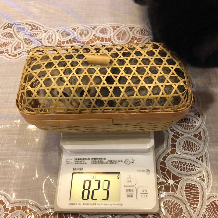 672aa1ae 77a2 44f2 b4e7 c85940f95d69 1542027554192