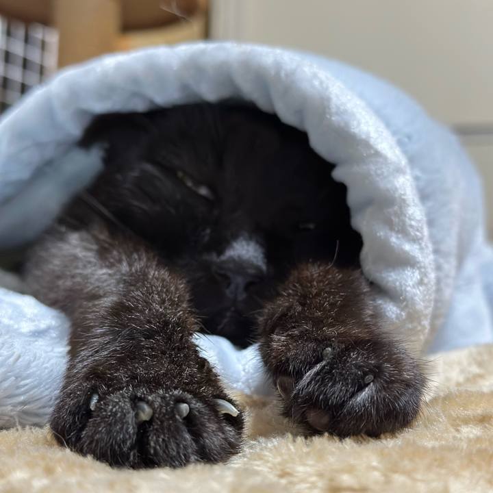 672ace59 808d 4380 b6ad ff9ae5bbb8be 1715911733491