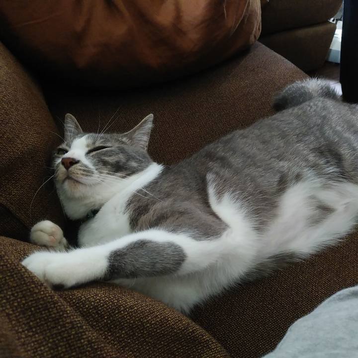 672af283 246e 49e7 a184 3c73f5eac151 1590464529081