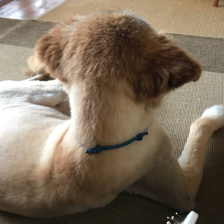 672aff8b c452 464d 894f 80d1d41ee598 1594938833152