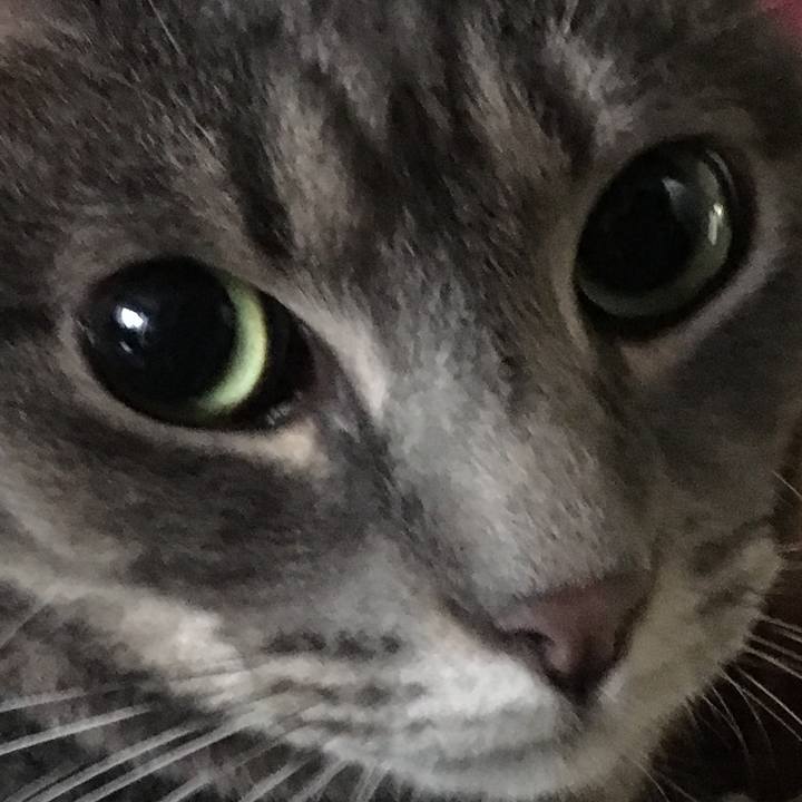 672b4f41 8ad0 41f8 b7c6 d2bcf1d3a1d6 1571443354200