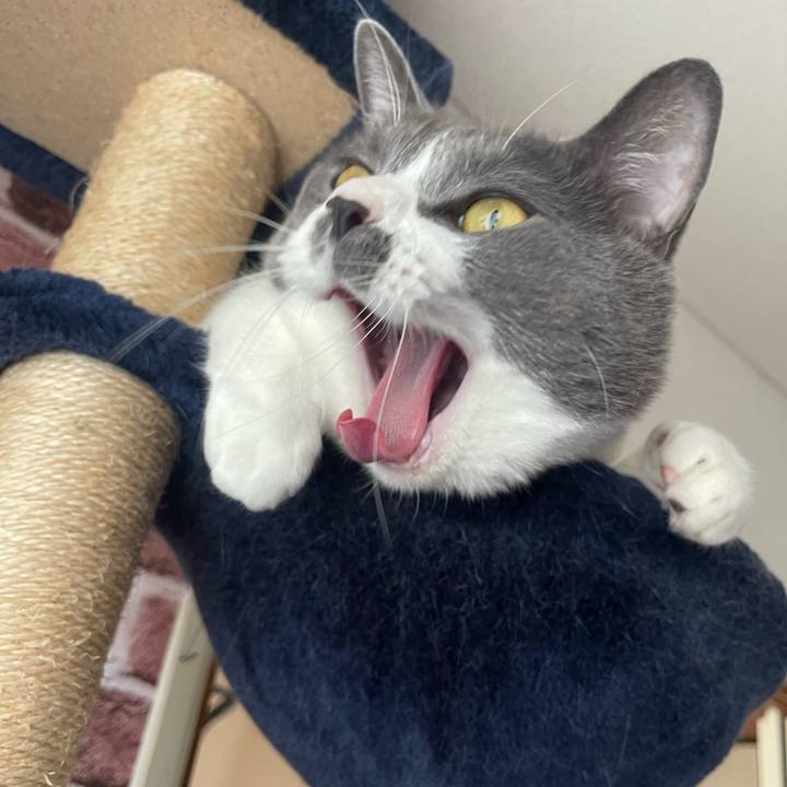 672b7850 5543 4d78 bc2e e615d043f57a 1696659608716