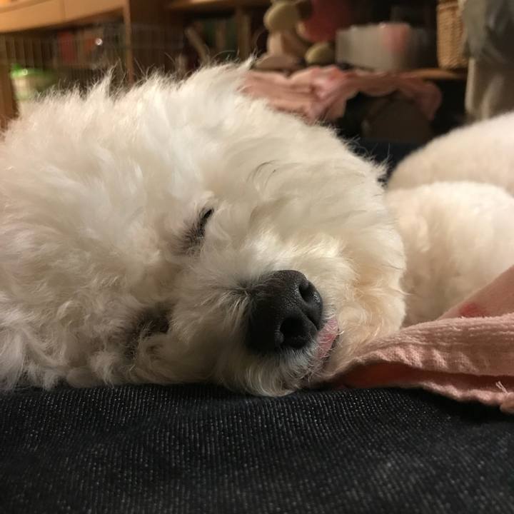 672b9e9f b3b2 433a a278 e405ce0b8220 1549270433365