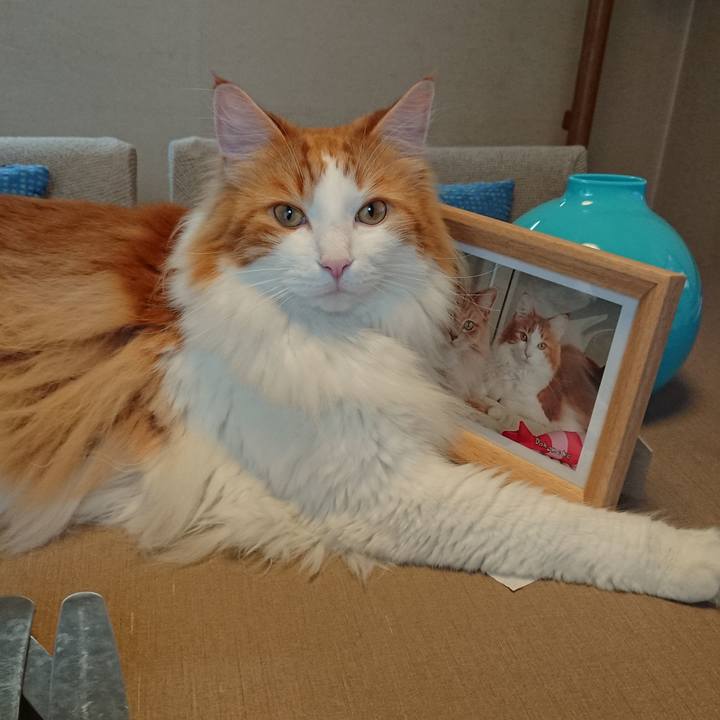 672bccc0 3022 434e 827c 32c5756fc219 1529816282591