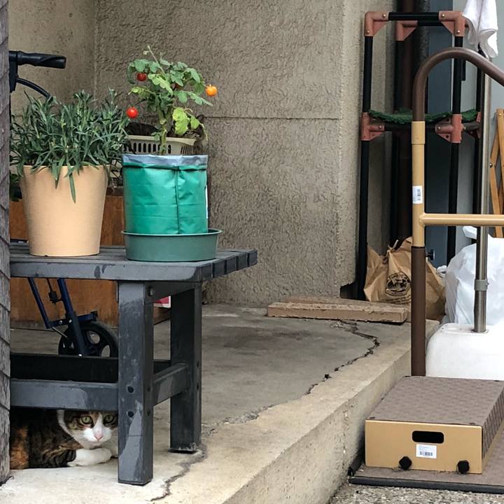 672bce2c f65b 42e0 ad3d 6a8180ea1e06 1535775115739