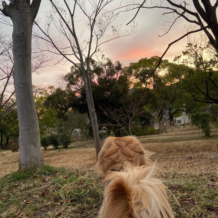 672c3ab4 7c43 417e a4ad ef64124c881f 1582148885882