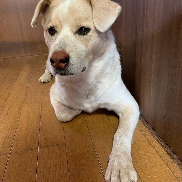 672c7cc5 5c00 447d ae52 b1308ddf1147 1577424786906